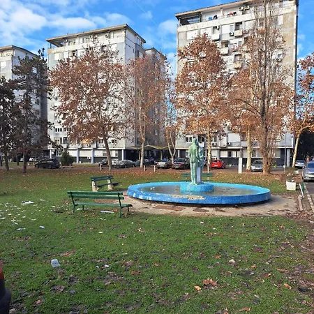 Royal Novi Mercator *